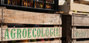 Xerrada sobre producció agroecològica a les escoles. Activitat inclosa en la Setmana Bio.