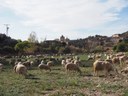Els territoris rurals i marítims s’uneixen per treballar durant 3 dies els reptes compartits