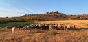 L’Espai Test Agroramader de Sant Martí de Riucorb incorpora els seus dos primers testers