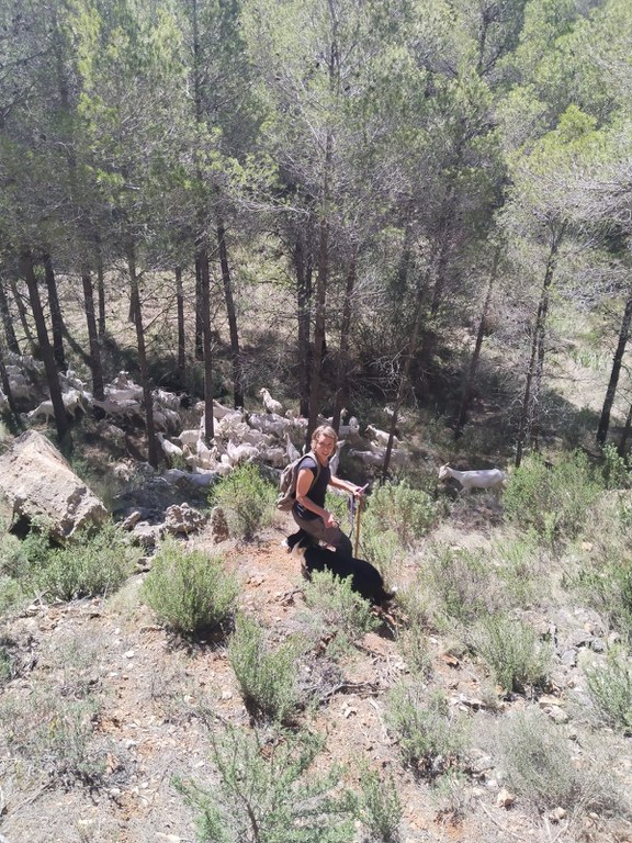 Espai test agrari de Gandesa
