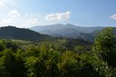 Oberta la convocatòria dels ajuts per a la diversificació econòmica de les zones rurals LEADER de Catalunya 2025