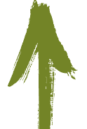 flecha-verde-e1547476168280.png flecha-verde-e1547476168280.png