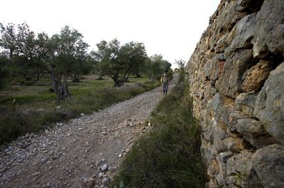 Camins d’Itinerànnia de la comarca de l’Alt Empordà (Itinerànnia).