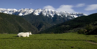 Serra del Cadí, entre l’Alt Urgell i la Cerdanya (Consell Comarcal de l’Alt Urgell).