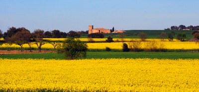 Castellmeià, municipi de Torrefeta i Florejacs. Segarra (Maria Josep Jové).