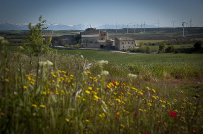 Paisatge de l’Anoia (Consorci per al Desenvolupament de la Catalunya Central).